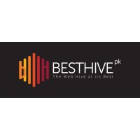 Besthive Pakistan logo - Similar company to Goartisans