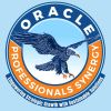Oracle Professionals Synergy logo - Similar company to Diolichat