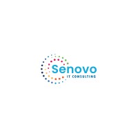 Senovo IT Consulting logo - Similar company to Biodactil