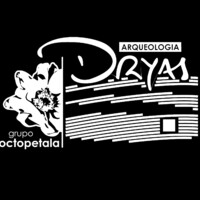 Dryas Octopetala logo - Similar company to Morph, Lda.