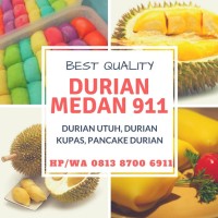 Call 0813 8700 6911 Supplier Durian Medan Makassar logo - Similar company to Pt. Ankera Agro Group