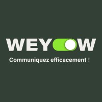 WEYOW - Agence web & com’ à la carte 🌍 logo - Similar company to Digital Link Sarl