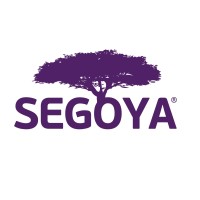 Segoya logo - Similar company to Toa Consulting