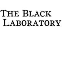 The Black Laboratory logo - Similar company to Real World Studios