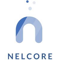 NELCORE logo - Similar company to Nelcore Construction Company