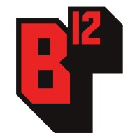 BLUE TWELVE STUDIO logo - Similar company to Alt Shift - Indie Game Studio
