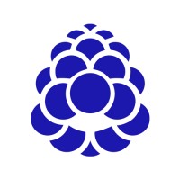 Gitberry logo - Similar company to Peak Tech