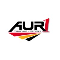 AUR 1 logo - Similar company to Hktc Technologies