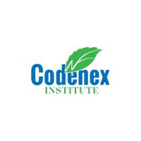 Codenex Institute logo - Similar company to Berk Technology