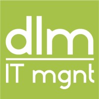 DELMELA IT MANAGEMENT logo - Similar company to Bags Up Sl