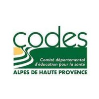 CoDES 04 logo - Similar company to Codeps13