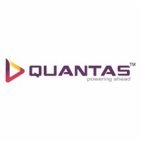 Quantas Synergy logo - Similar company to Raj Singh Trading Group
