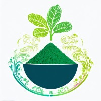 Kenkou Superfoods logo - Similar company to Fortpoint Leasing Solutions
