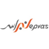 Nepras for Media & IT logo - Similar company to Hauska.Io
