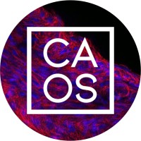 Cellular Agriculture Online Symposium logo - Similar company to Climate Online 🇺🇦