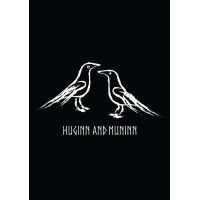 Huginn and Muninn logo - Similar company to Ablemind