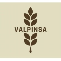 Valpinsa Company S.r.l. logo - Similar company to 271.Vc