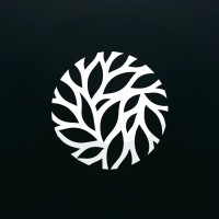 Dappled Light logo - Similar company to Spring Scooters