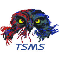 TSMS logo - Similar company to Fryqua