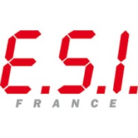 E.S.I. France logo - Similar company to Stam Itad