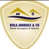 BOLA ADEBULE & CO logo - Similar company to Fulcrum Plus