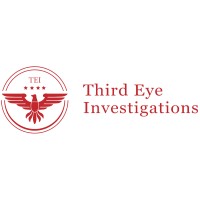 THIRD EYE INVESTIGATIONS logo - Similar company to Avs. [Authenticator Verification Services Llp]