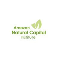 Amazon Natural Capital Institute logo - Similar company to Coltan - Geologia E Meio Ambiente