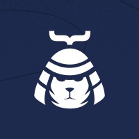 RoninPixels (an Appfire company) logo - Similar company to Software Solutions