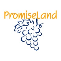 PromiseLand Financial Advisory logo - Similar company to Gen Financial Advisory