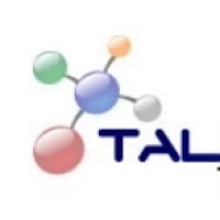 Talentum Tecnologia logo - Similar company to Maximos Informatica