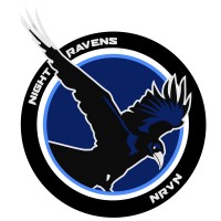 Night Raven Media Group logo - Similar company to Raven Media Group Ltd