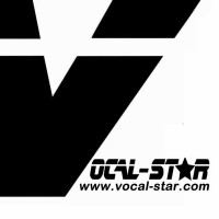 Vocal Star Limited logo - Similar company to Pcm Electronics