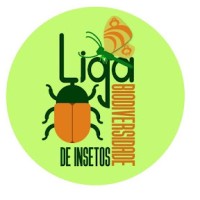 LEBI logo - Similar company to Instituto Socioambiental Gigante Verde