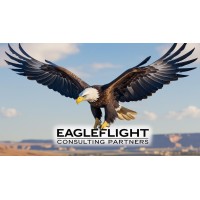 EagleFlight Consulting Partners logo - Similar company to Crystal Rise Group