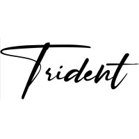 Trident Occasions logo - Similar company to Carplatform