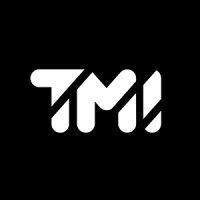 Too Much Info logo - Similar company to Auditvision