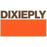 Dixie Plywood & Lumber Company of Charlotte logo - Similar company to Panda Panel Agencies Ltd