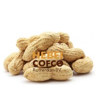 Hebei Cofco Rotterdam B.V. *peanuts & superfoods* logo - Similar company to Noypack