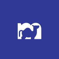CAMELSOFT LLC logo - Similar company to Nachd-It