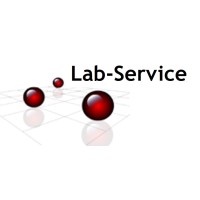Lab-Service logo - Similar company to /Lab Service And Experience Design