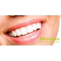 Dentium Europe logo - Similar company to Alignme