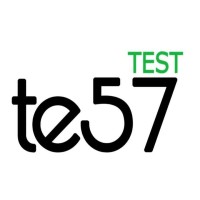 Test Talents Solutions logo - Similar company to Clearlegends