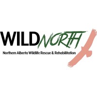 WILDNorth: Northern Alberta Wildlife Rescue and Rehabilitation logo - Similar company to Salish Shine