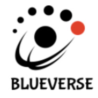 Blue Verse Systems logo - Similar company to Town