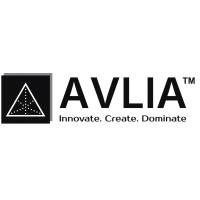 Avlia IT Solution logo - Similar company to Local24