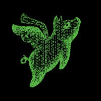pigsfly.ai logo - Similar company to Algorithma