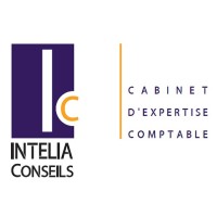 INTELIA CONSEILS logo - Similar company to Mj Air