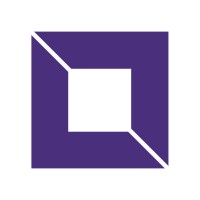 VersaMinds logo - Similar company to Raversys