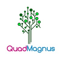 QuadMagnus Infotech logo - Similar company to Devangels Limited