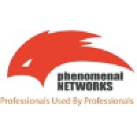 Phenomenal Networks